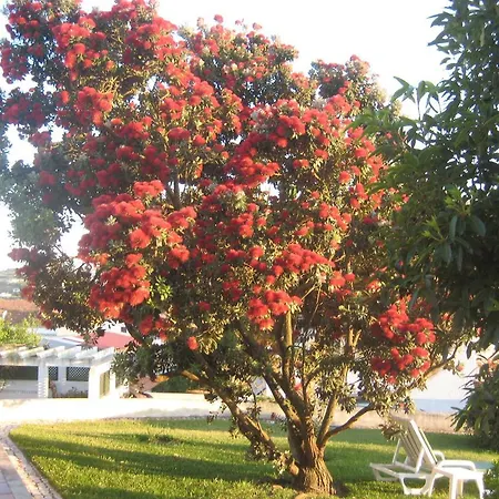 Πανσιόν A Casinha Areia Branca